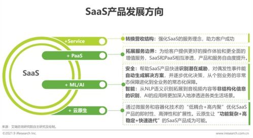 2021年中國企業(yè)級(jí)SaaS行業(yè)研究報(bào)告 工業(yè)互聯(lián)網(wǎng)數(shù)據(jù)服務(wù)的崛起與變革